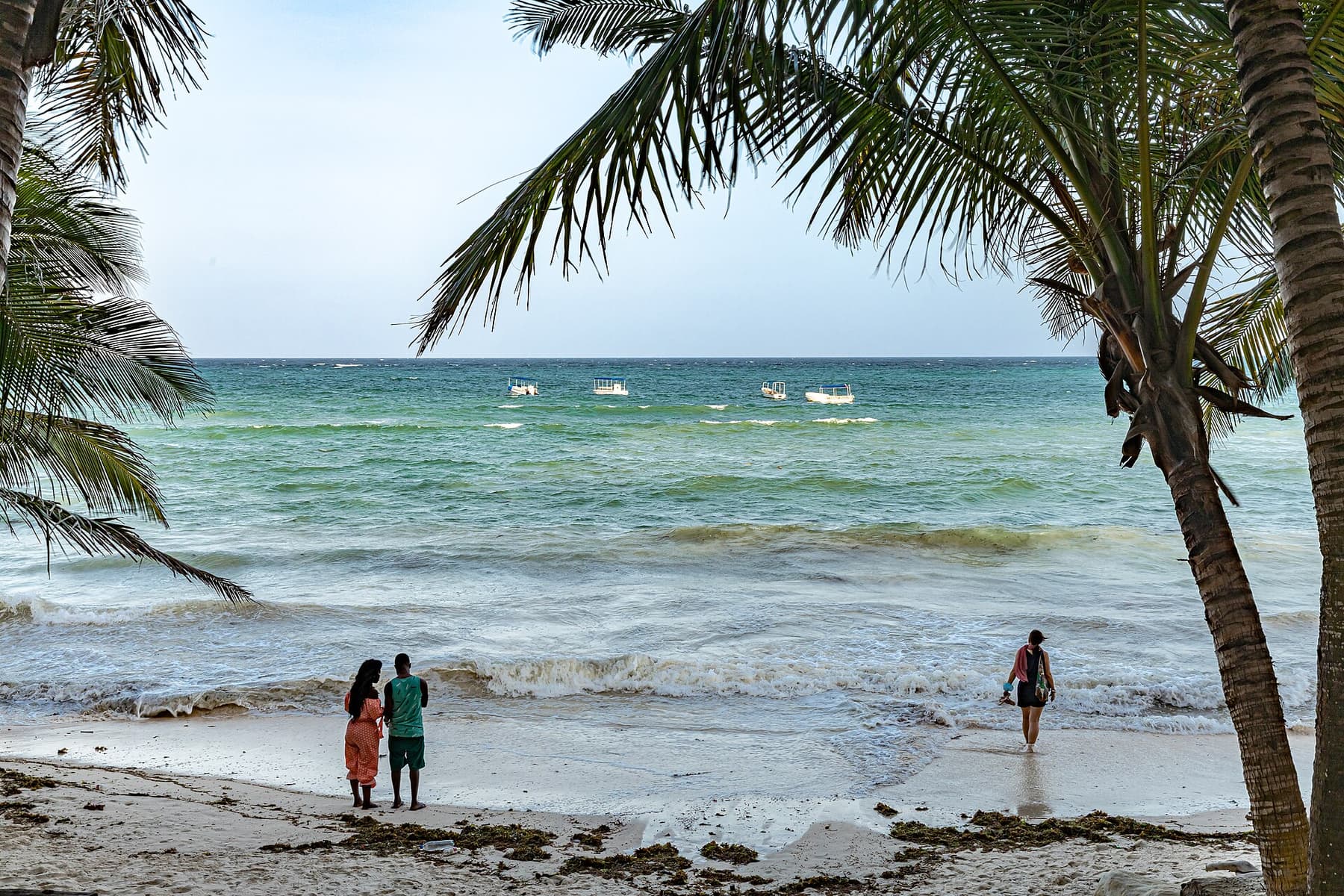 Palm trees leaning over the turquoise Indian Ocean at Diani Beach